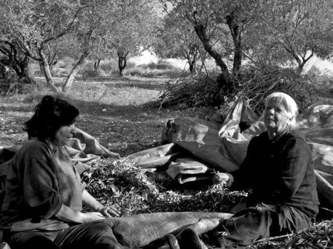 ομογενεια 49 Ο Νοέμβριος, ή Νοέμβρης, ή Αεργίτες (ποντιακά), ή Βιέστ (Αρβανίτικα) είναι ο ενδέκατος μήνας του έτους κατά το Γρηγοριανό ημερολόγιο και έχει 30 ημέρες.