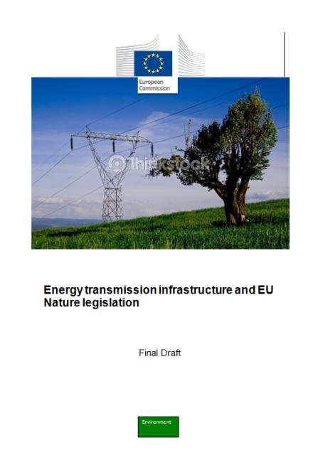 Άλλες σχετικές δράσεις Guidance "Energy transmission infrastructure and EU Nature legislation" Gas and oil transmission and distribution