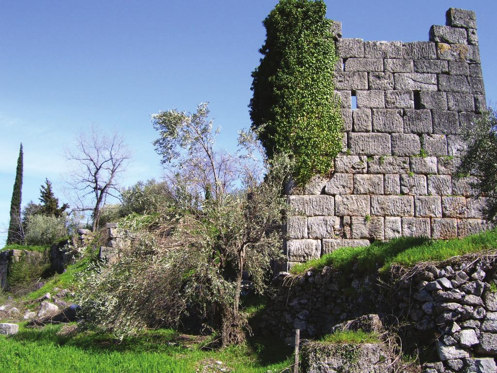 Ο στυλοβάτης έχει πλάτος 80 cm και η κάτω διάμετρος των κιόνων 75 cm. Οι κίονες του πτερού ήταν 6 13 πώρινοι με 20 ραβδώσεις. Στο εσωτερικό του ναού υπήρχε υπερμεγέθες άγαλμα της θεάς.