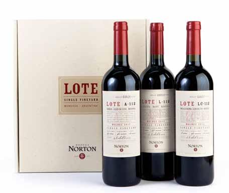 Bodega Norton 1 Lote