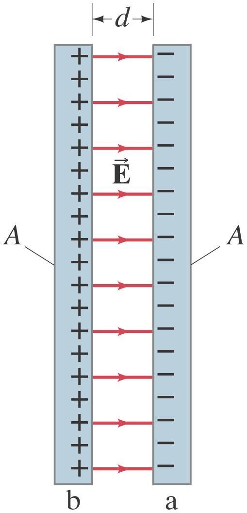 24-2 Προσδιορισμός χωρητικότητας Για ένα παράλληλο πυκνωτή όπως αυτός του σχήματος, το πεδίο μεταξύ των
