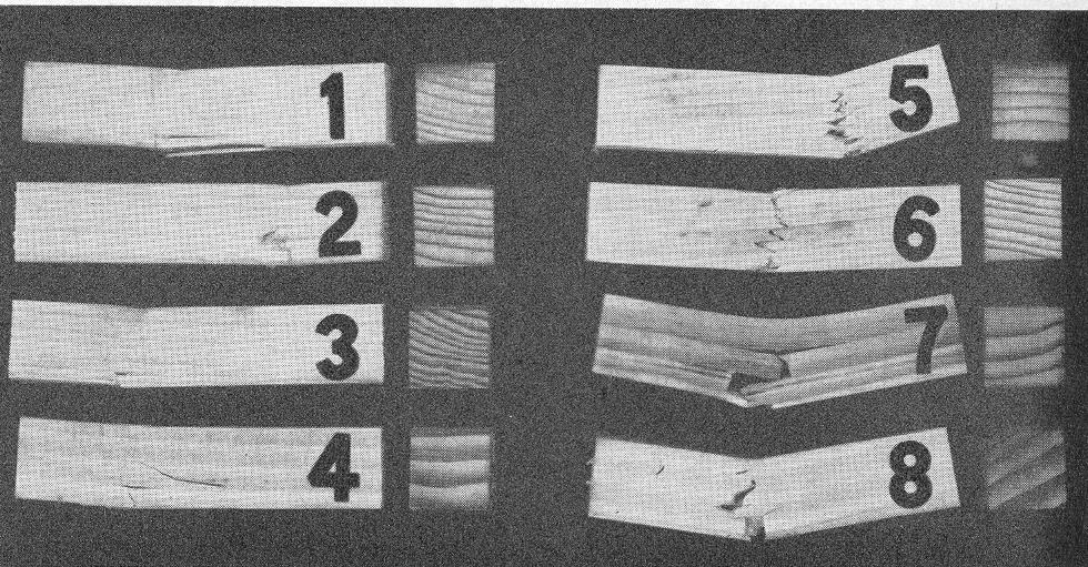 Ο Wardrop (1951) βρήκε ότι όταν θλιψιγενές ξύλο του είδους Pinus radiata υπόκειται σε αντοχή σε εφελκυσμό, το σημείο της θραύσης έχει την ίδια κατεύθυνση με τον έλικα που έχουν τα μικροϊνίδια στην S