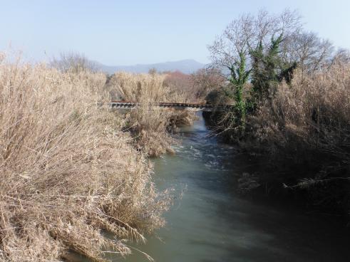 Επίσης καταγράφηκαν ζημιές σε αγροικίες, επιχειρήσεις και καλλιέργειες, ενώ πνίγηκαν και ζώα.