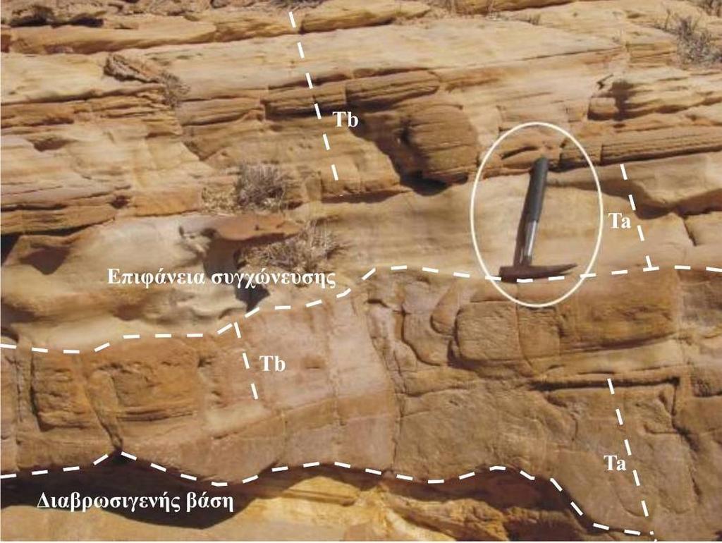 48 ΚΕΦΑΛΑΙΟ 2: Περιβάλλοντα Ιζηματογένεσης Έχουν παρατηρηθεί ψαμμίτες με κανονική διαβάθμιση, τα ανώτερα τμήματα των οποίων μπορεί να παρουσιάζουν παράλληλη και/ή διασταυρούμενη ελασμάτωση ανάλογη με