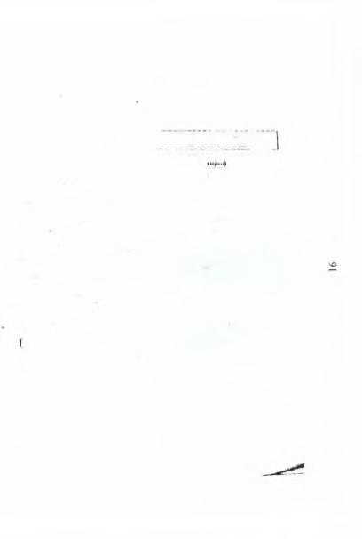 ΣΤΟΙΧΕΙΑ ΠΑΡΑΓΩΓΗΣ ΕΤΟΥΣ 2004 Β. Α ΪΦ Α Λ 1 ΙΕ ΙΙ ΖΩΗΣ ΚΛΑΔΟ Ι Α ΙΦ Α Λ ΙΙΜ Γ III.