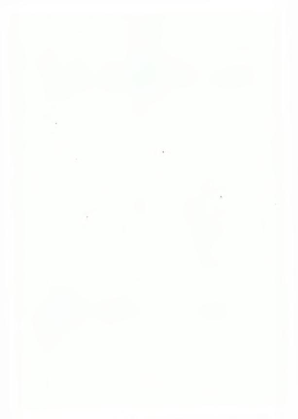 29 4.3 Όργανα Διοίκησης από 17.05.2004 έως 31.12.