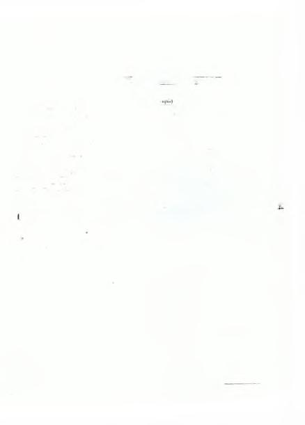 ΣΤΟΙΧΕΙΑ ΠΑΡΑΓΩΓΗΣ ΕΤΟΥΣ 2004 Α.