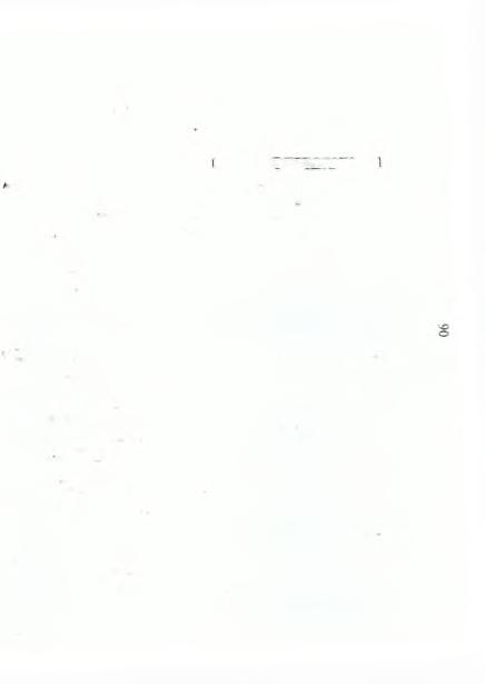 ΣΤΟΙΧΕΙΑ ΠΑΡΑΓΩΓΗΣ ΕΤΟΥΣ 2004 ΚΛΑΔΟ Ι ΑίΦ ΑΛΙΣΗΣ Α.