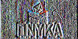 και για να ελεγχθεί η ανταπόκριση του απλού πολίτη σε θέματα και ζητήματα που άπτονται των συστημάτων ηλεκτρονικής ψηφοφορίας.