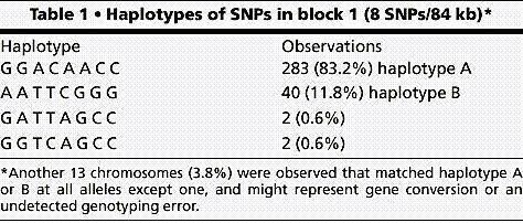 A Long Haplotype Block Daly et al.