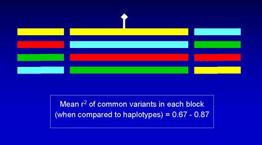 Block απλοτύπων και µελέτες Ιδανικά θα θέλαµε να µπορούµε να συγκρίνουµε όλα τα υπάρχοντα SNPs ανάµεσα σε µια µεγάλη οµάδα ασθενών και µια οµάδα controls Απαγορευτικό κόστος Χάρη στη δοµή του