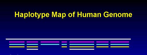 The HapMap Project Στόχοι: Καθορισµός της δοµής του ανθρώπινου γονιδιώµατος Προσδιορισµός tsnps ηµοσιοποίηση της πληροφορίας Ισχυρό εργαλείο για πιο