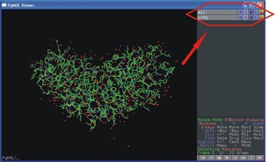 Μετά την φόρτωση ενός αρχείου PDB, εμφανίζονται δύο μπάρες στα δεξιά του viewer, η μία με το όνομα <all> ενώ η άλλη με το όνομα του PDB αρχείου (π.χ. <1YPQ>).
