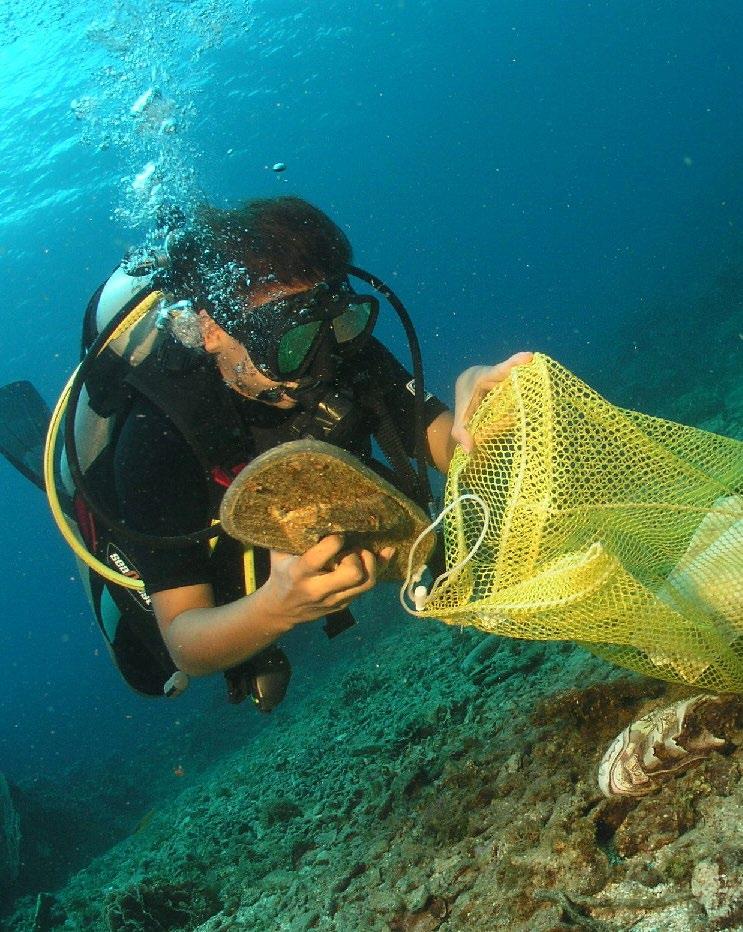 Dive Against Debris Διακεκριμένης Ειδικότητας Distinctive Specialty Course