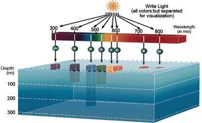 Selektivna apsorpcija je najveća u infracrvenim i crvenim talasnim dužinama što zajedno sa apsorpcijom same vode u infracrvenoj blasti dovodi do