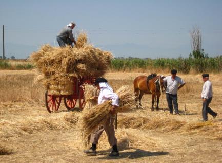 Δέξου απ τα χέρια μας Πατέρα, Άρτο από γη και εργασία, Οίνο από χώμα και φροντίδα, Δώρο απ τα δώρα τα δικά σου.