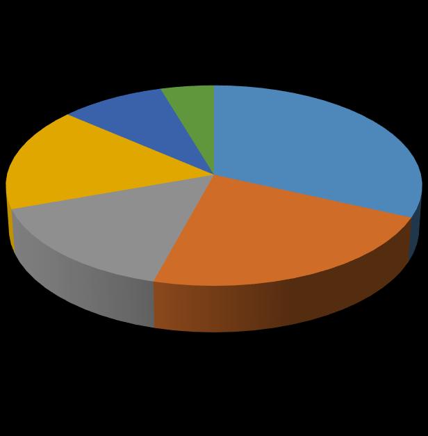 Γερμανία (ALLIANZ,TALANX) 17% 9% 5% 32% Ιταλία (GENERALI) 15% 22% Αγγλία (PRUDENTIAL,AVIVA) Ελβετία