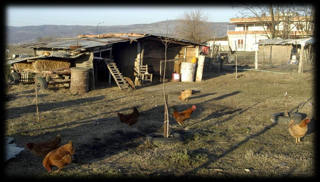 Τύποι μεθόδων εκτροφής Οι τύποι μεθόδων εκτροφής είναι σήμερα τέσσερις : Α) η οικόσιτη εκτροφή, Β) η ημιεντατική εκτροφή, Γ) η βιολογική εκτροφή και Δ) η εντατική εκτροφή.