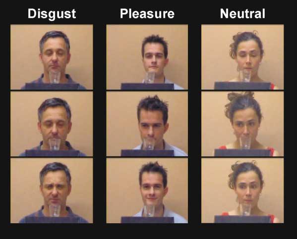 Evidence about involvement of the insula in empathy Interestingly, a recent fmri study by Wicker et al.