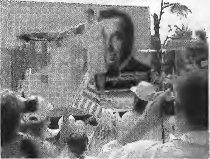 2ος στην αναρρίχηση επί κάλω Ορφα'Λδης Γιώργος, 1ος στη σκοποβολή {πιστόλι τοχά-. Ορ?ανίδης Γιώργος, 2ος στη σκοποβολή (πιστόλι ταχύ Cil Παραυκευόπουλος Γ., 3ος στην ποδηλασία {12 χλμ. σπ-.