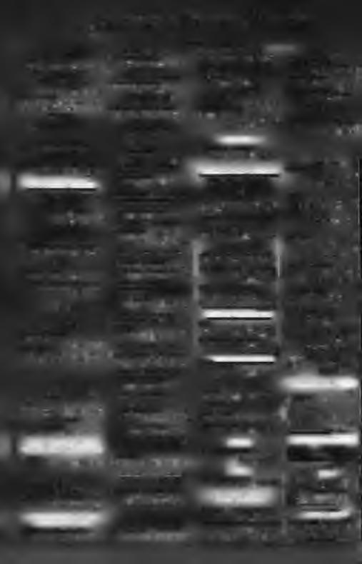 , 23320 215B0-2D347 Σ Υ Ν Ε Ρ Γ Ε ΙΑ ΕΜ Π Ο Ρ ΙΑ Κ Α Ι S E R V IC E ΕΛ Α ΣΤΙΚ Ω Ν - ΖΑΝΤΩΝ ΤΣΑΚΙΡ! Û H I ΕΥΘΥΜΙΟΣ ΘεοΜκης 70 Βέροια.