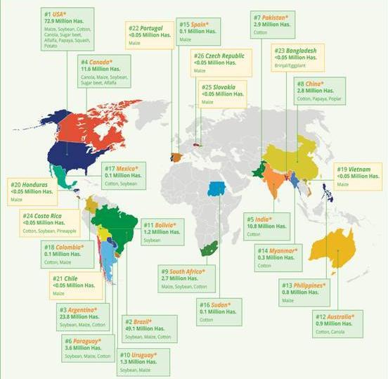 Pestovanie biotech plodín (GMR) vo