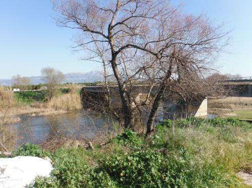 Φωτογραφία 4-1: Γέφυρα Ευρώτα μεταξύ Έλους και Λεήμονα Φωτογραφία 4-2: Κοίτη Ευρώτα στην εκβολή στο Λακωνικό κόλπο.