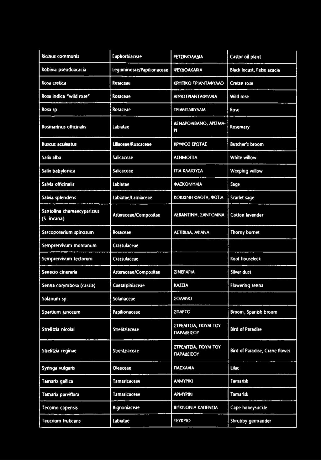 Rosaceae ΤΡΙΑΝΤΑΦΥΛΛΙΑ Rose Rosmarinus officinalis Labiatae ΔΕΝΔΡΟ ΛΙΒΑΝΟ, ΑΡΙΣΜΑ- ΡΙ Rosemary Ruscus aculeatus Lüiaceae/Ruscaceae ΚΡΥΦΟΣ ΕΡΩΤΑΣ Butcher's broom Salix alba Salicaceae ΑΣΗΜΟΪΤΙΑ White