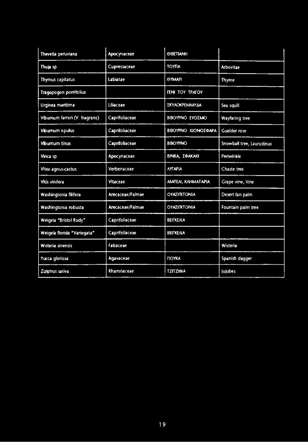fragrans) Caprifoliaceae ΒΙΒΟΥΡΝΟ ΕΥΟΣΜΟ Wayfaring tree Viburnum opulus Caprifoliaceae ΒΙΒΟΥΡΝΟ ΧΙΟΝΟΣΦΑΡΑ Guelder rose Viburnum tinus Caprifoliaceae ΒΙΒΟΥΡΝΟ Snowball tree, Laurustinus Vmca sp.