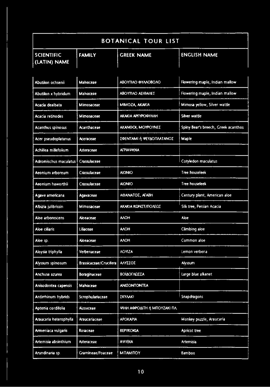 Acanthaceae ΑΚΑΝΘΟΙ, ΜΟΥΡΟΥΝΕΣ Spiny Bear's breech, Greek acanthos Acer pseudoplatanus Aceraceae ΣΦΕΝΤΑΜΙ ή ΨΕΥΔΟ ΠΛΑΤΑΝΟΣ Maple Achillea millefolium Asteraceae ΑΓΡΙΑΨΙΘΙΑ Adromischus maculatus
