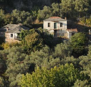 Αναγνώριση της δομικής λογικής: μορφολογικές και κατασκευαστικές ιδιαιτερότητες Εμπειρική γνώση και η στατική διαίσθηση Κατασκευές εμπειρικές με τεχνικές που εξελίχθηκαν αργά με διαδοχικές βελτιώσεις