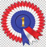 award as he sets a good example for all other pupils to