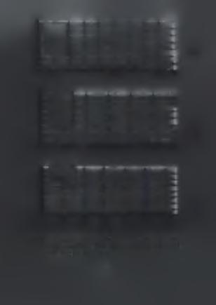 (α) (β) (Υ) Ο 10 20 30 40 50