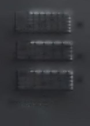 (α) (β ) (Υ)