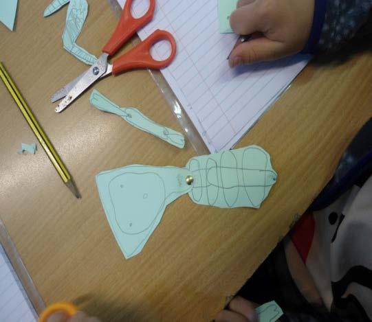 Αναπτύσσοντας το ταξίδι της μάθησης: Σημεία αφετηρίας 2 Δραστηριότητες: Τι ξέρετε ήδη για το σκελετό; Μπορείτε να σχεδιάσετε οστά σε ένα σχεδιάγραμμα του σώματος; Μπορούν τα παιδιά να φτιάξουν ένα