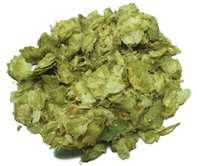 ΒΡΕΤΑΝΙΑ ΗΠΑ ΓΕΡΜΑΝΙΑ ΑΥΣΤΡΑΛΙΑ Admiral Ahtanum Brewers Gold Galaxy Beata Amarillo Herkules Pride of Ringwood Boadicea Apollo Hersbrucker (Hallertau) Ella (πρώην Stella) Bramling Cross Bravo Magnum