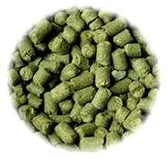 Tettnang Goldings Citra Tradition Northdown Cluster ΒΙΟΛΟΓΙΚΟΙ ΛΥΚΙΣΚΟΙ Phoenix Columbus (Tomahawk, Zeus) ΤΣΕΧΙΑ Cascade (NZ, BE) Pilgrim Crystal Premiant Challenger (BE) Pilot Delta Saaz First Gold