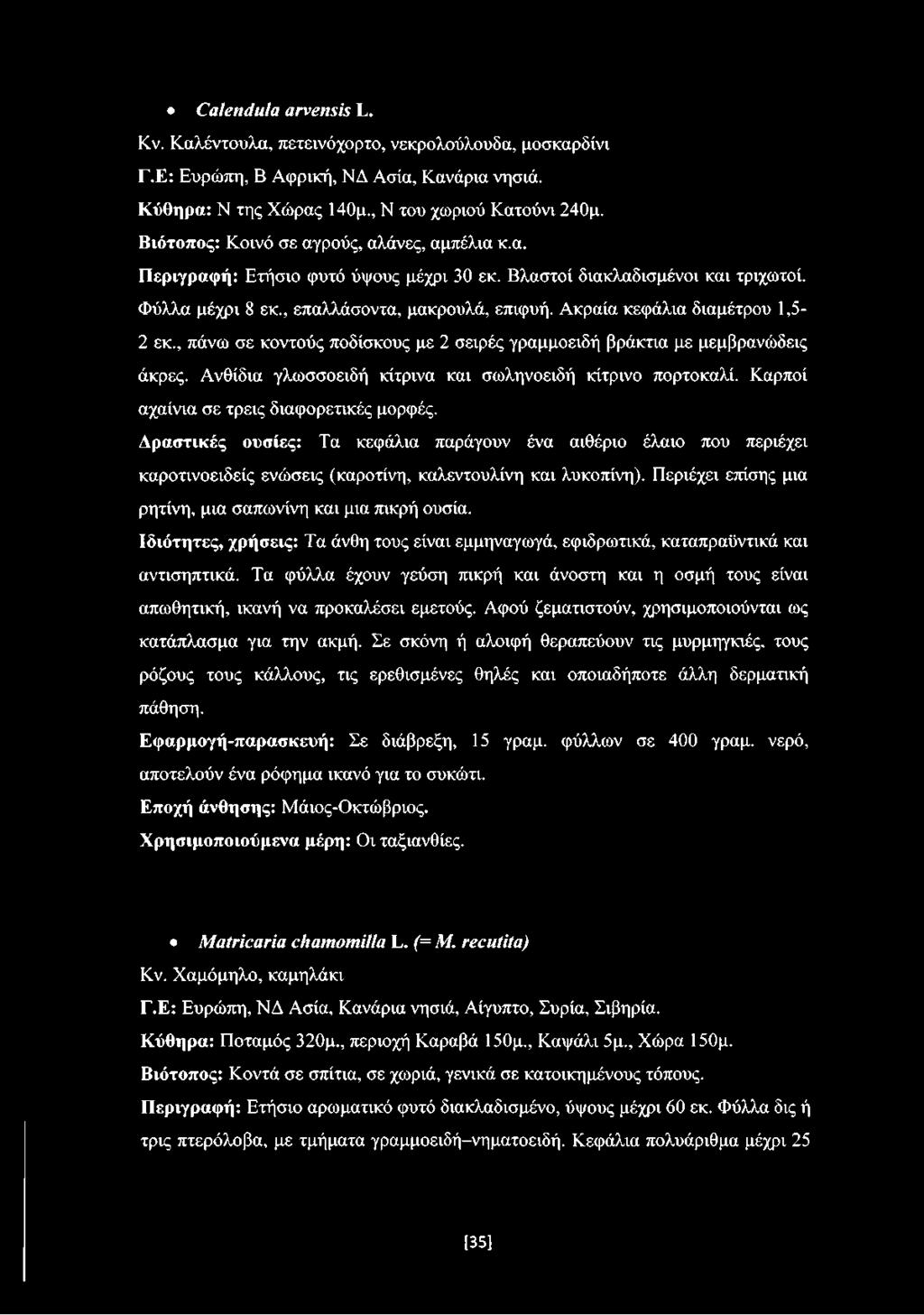 Ακραία κεφάλια διαμέτρου 1,5-2 εκ., πάνω σε κοντούς ποδίσκους με 2 σειρές γραμμοειδή βράκτια με μεμβρανώδεις άκρες. Ανθίδια γλωσσοειδή κίτρινα και σωληνοειδή κίτρινο πορτοκαλί.