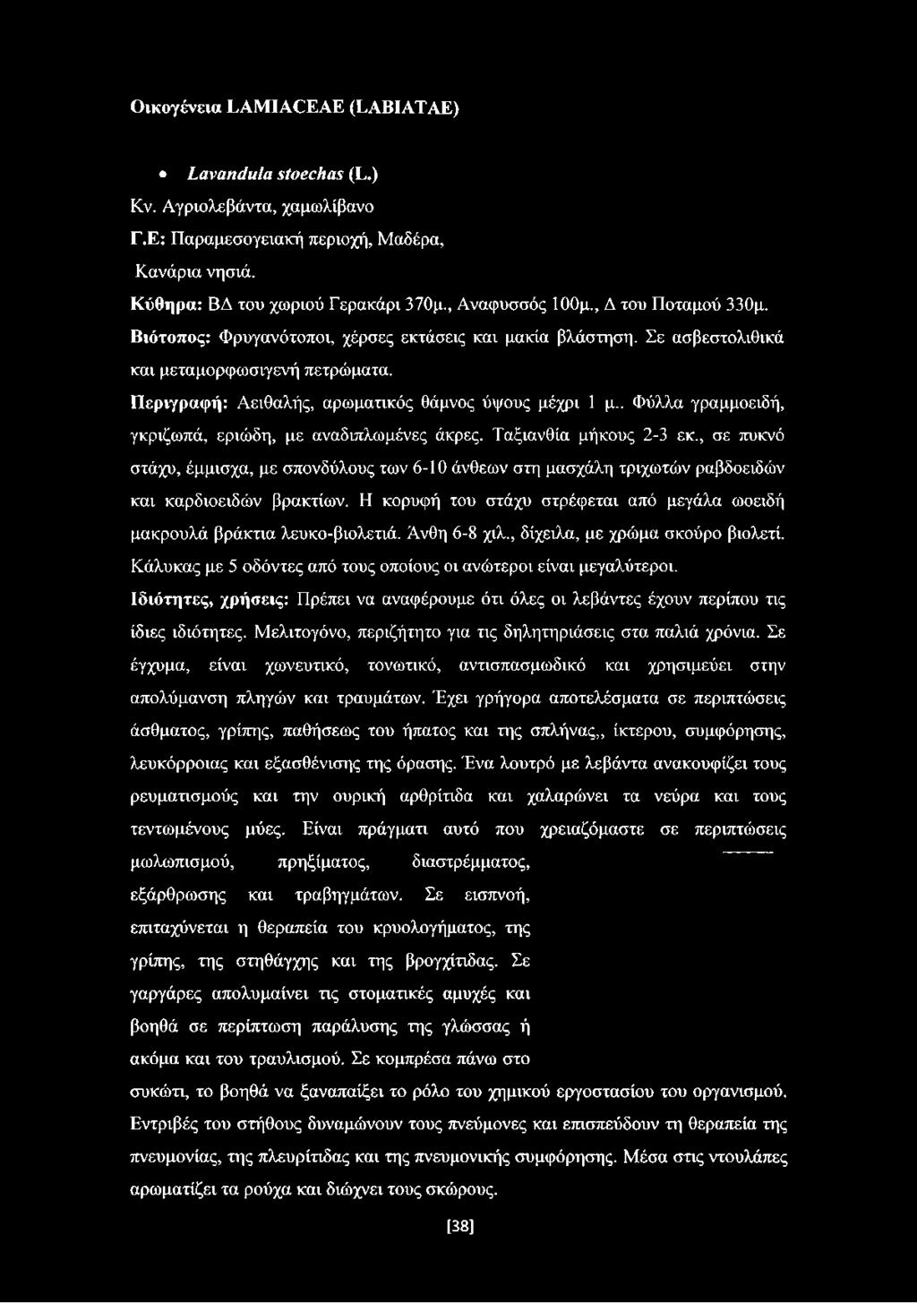 . Φύλλα γραμμοειδή, γκριζωπά, εριώδη, με αναδιπλωμένες άκρες. Ταξιανθία μήκους 2-3 εκ., σε πυκνό στάχυ, έμμισχα, με σπονδύλους των 6-10 άνθεων στη μασχάλη τριχωτών ραβδοειδών και καρδιοειδών βρακτίων.