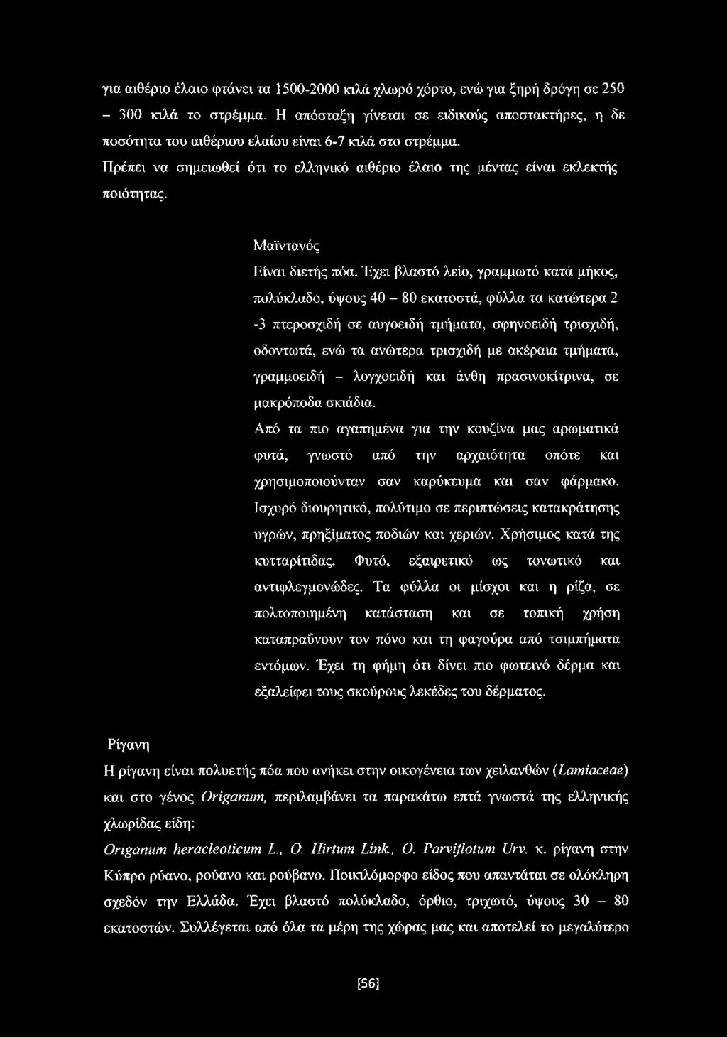 Μαϊντανός Είναι διετής πόα.