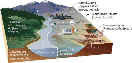 ενώσεις και ότι ο φωτισμός είναι επαρκής. Αυτή η αύξηση των θρεπτικών είναι δυνατό να έχει θετικά αποτελέσματα οπότε το φαινόμενο ονομάζεται εμπλουτισμός.
