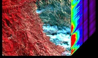 variations, adjacent vegetation type and biomass,
