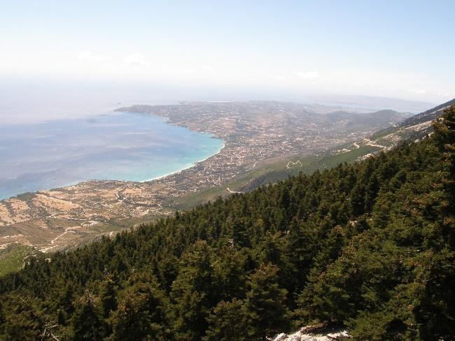 Ο ΕΘΝΙΚΟΣ ΔΡΥΜΟΣ ΑΙΝΟΥ ΚΑΙ Ο ΦΟΡΕΑΣ ΔΙΑΧΕΙΡΙΣΗΣ ΤΟΥ Καμάρη Γεωργία 1, 2, Μήτσαινας Γεώργιος 1 & Ξανθάκης Μιχαήλ 2 1 Τμήμα Βιολογίας, Πανεπιστήμιο Πατρών, 26500 Πάτρα, kamari@upatras.