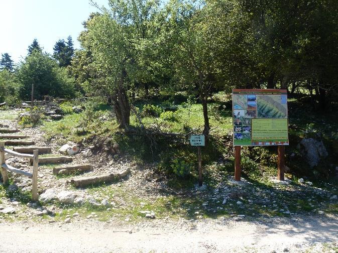 Πινακίδα για το μονοπάτι Διγαλέτου-Μέγα Σωρού. Figure 13a. Board of Digaleto-Megas Soros trail. Εικόνα 13β. Περιβαλλοντική Εκπαίδευση μαθητών στα μονοπάτια του Αίνου. Figure 13b.