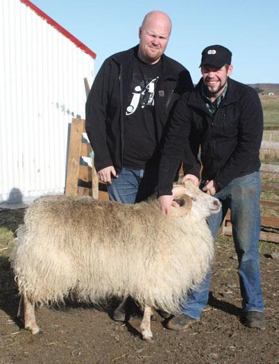 Á nokkrum öðrum bæjum var ekki sett eins mikið á af gimbrum og ætlunin var þannig að vetrarfóðruðum kindum fækkaði í heildina í hreppnum.