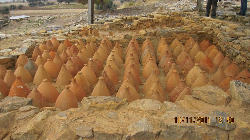 ARCHAEOLOGICAL SITE OF