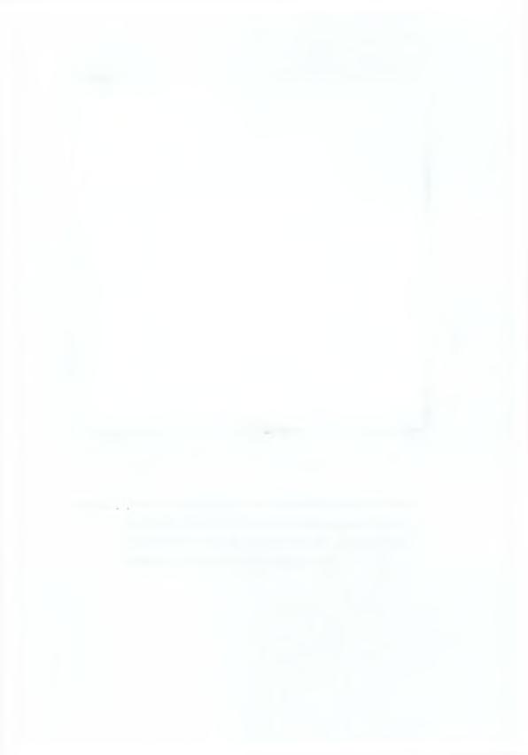19 (Α) (Β) Σγήιια 2.