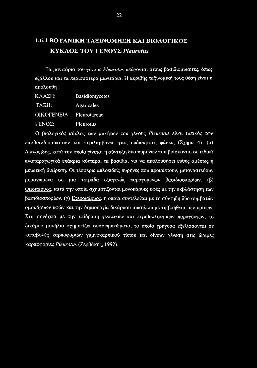 Οι τέσσερις απλοειδείς πυρήνες που προκύπτουν, μεταναστεύουν μεμονωμένα σε μια τετράδα εξωγενώς παραγομένων βασιδιοσπορίων.