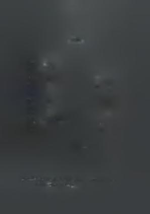 Α Ρ Υ Ο Φ Α Σ Α Π Α