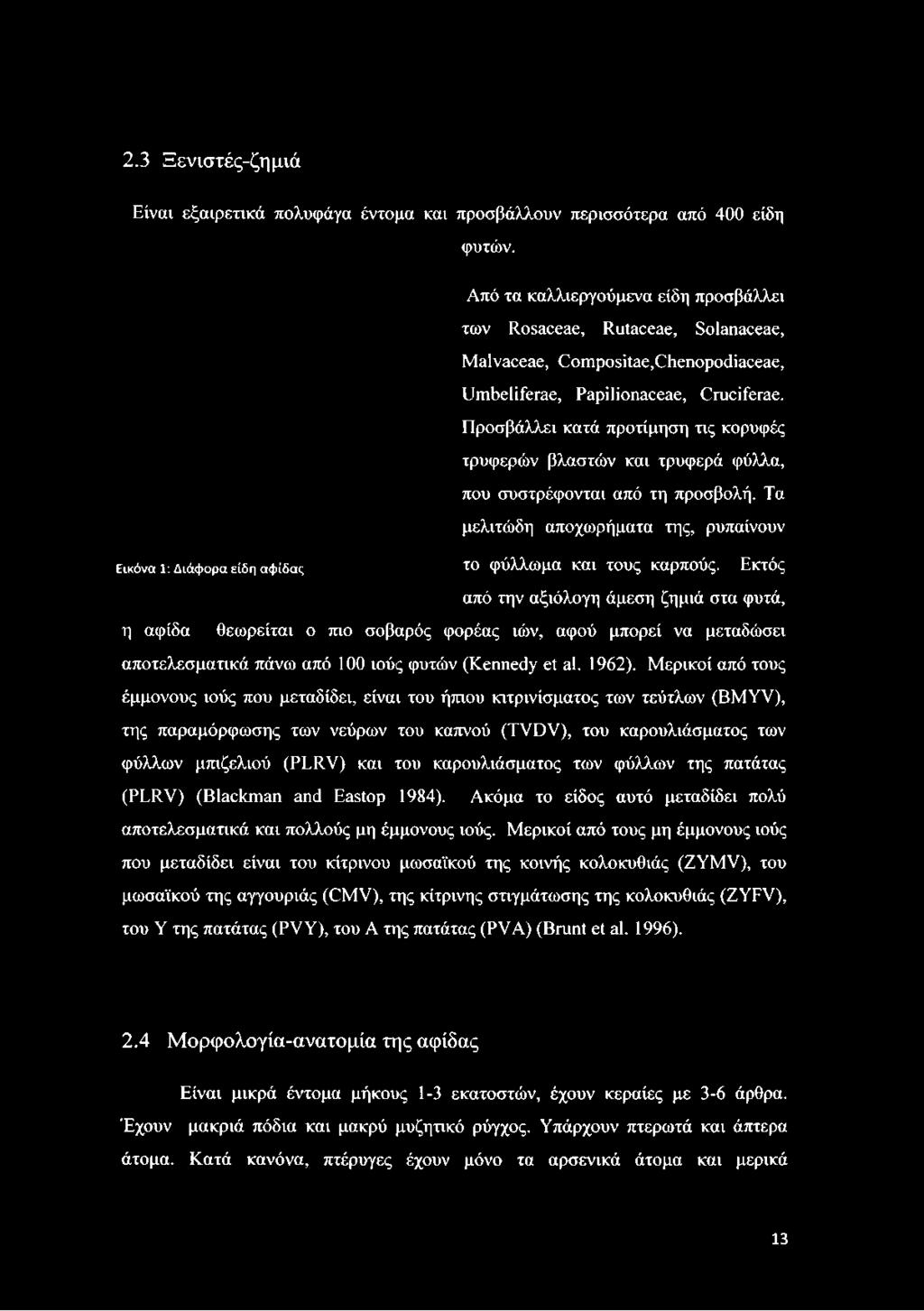 Προσβάλλει κατά προτίμηση τις κορυφές τρυφερών βλαστών και τρυφερά φύλλα, που συστρέφονται από τη προσβολή. Τα μελιτώδη αποχωρήματα της, ρυπαίνουν το φύλλωμα και τους καρπούς.